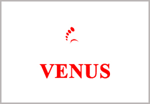 Venus Shoes